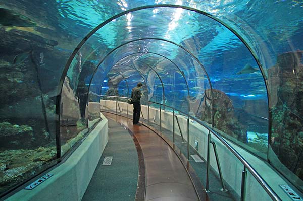 Places to visit in Barcelona Aquarium Places to visit in Barcelona Aquarium