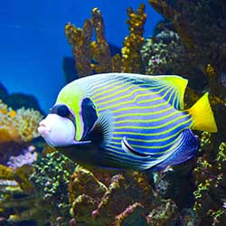 Barcelona Aquarium aquarium