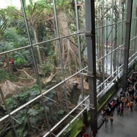 CosmoCaixa CosmoCaixa